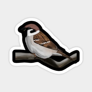 Sparrow Bird Illustration Magnet