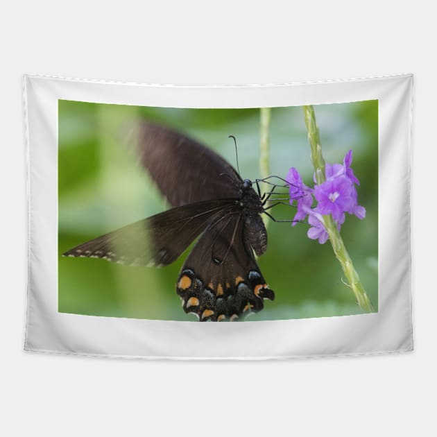 Swallowtail Series Tapestry by Jacquelie