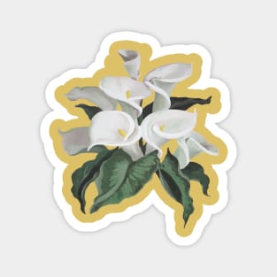 Artistic Cream White Calla Lilies Bouquet Cut Out Magnet