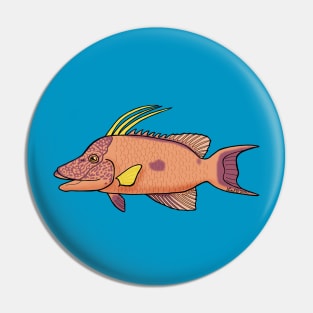 Hogfish Pin