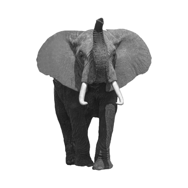 Elephant with the Trunk up in Kenya / Africa by T-SHIRTS UND MEHR