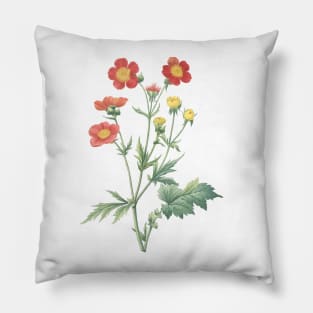 Red Geranium Wildflower Vintage Botanical Illustration Pillow