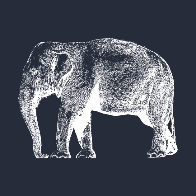 Elephan-tee White by FoxAndBear