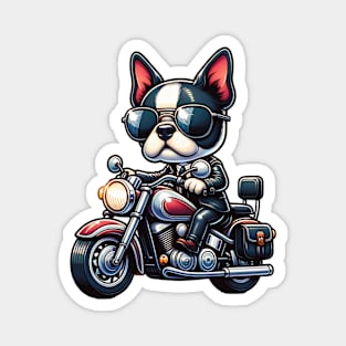 Boston Terrier Riding A Motorcycle Magnet