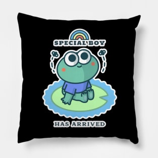 Special Boy Has Arrived | Cute Pillow