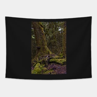 Fiordland 3 Tapestry