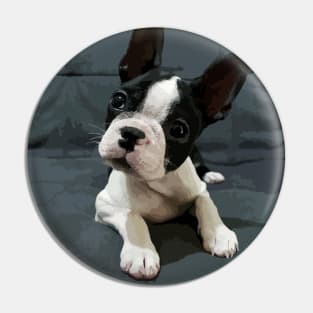 Boston Terrier gifts, Boston Terrier lovers, boston terrier art print, Pin