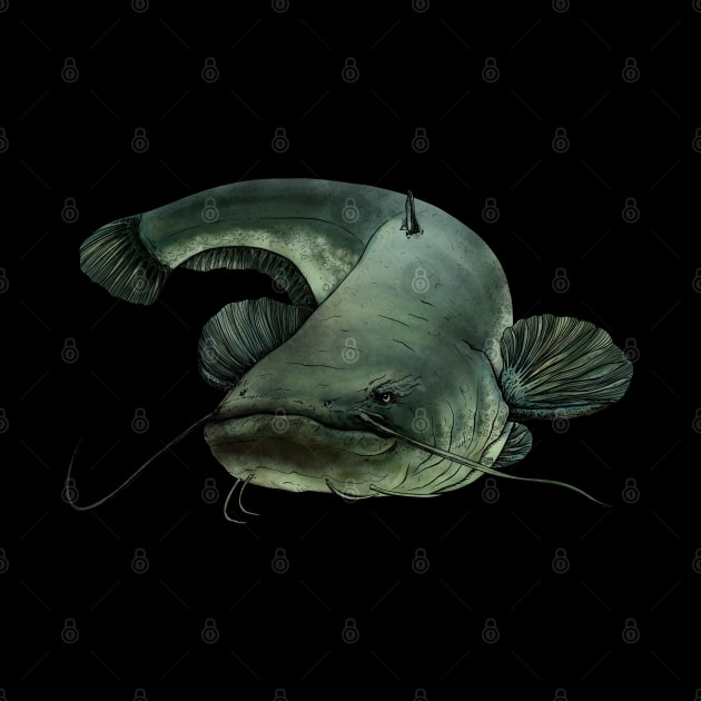 Catfish by Sandarmi