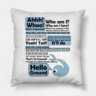 Hello Ground Pillow