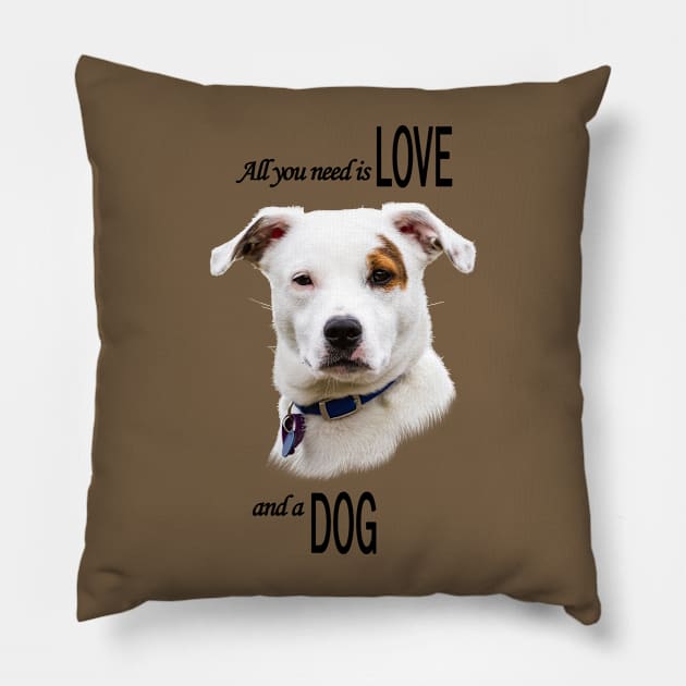 All you need is Love and a Dog Pillow by Jane Stanley Photography