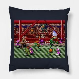 TMNT Battletoads Crossover with my signature Pillow