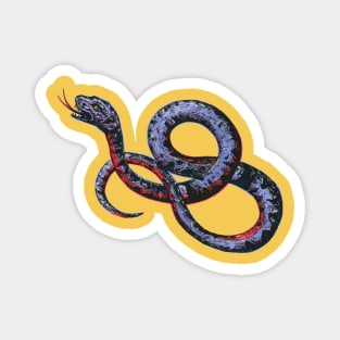 Danger! Noodle! Magnet