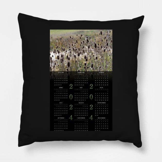 Wild Teasel • 2024 Year-at-a-glance Calendar Pillow by photoclique