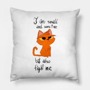 Cat is Small and Sensitive, but read to fight Pillow