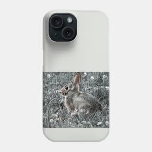 Bunny and Clover 1-3 Phone Case