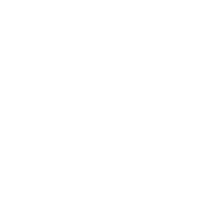 Deep in the heart of Texas Magnet