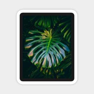 Green Leaves Plant Texture Background Magnet