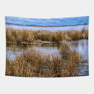 Prairie Lake Scenery Tapestry