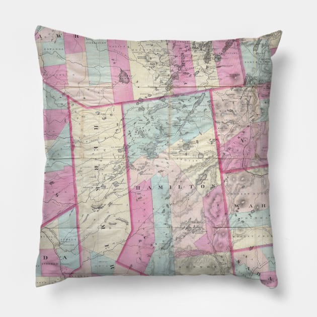 Vintage Map of The Adirondack Mountains (1867) Pillow by Bravuramedia