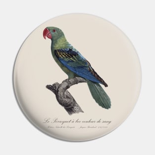 Great-Billed Parrot / Le Perroquet a bec couleur de sang - 19th century Jacques Barraband Illustration Pin