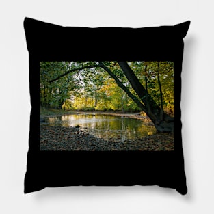 Reflections of autumn on the river Pillow