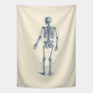 Backward Facing Skeletal Diagram - Vintage Anatomy Print Tapestry