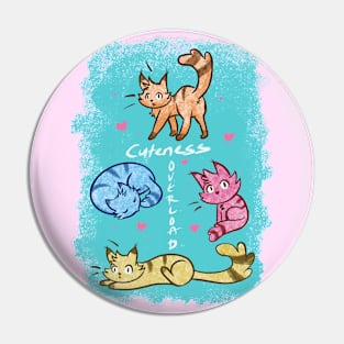 Fluffy Cat Pin