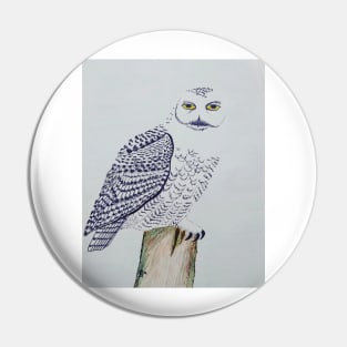 Snowy Owl on Post Pin