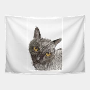 Black Cat Art Tapestry