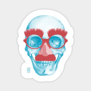 Nose Skull Magnet