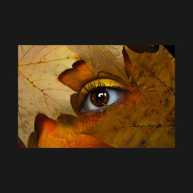 Brown maple leaf with person s eye by mydesignontrack