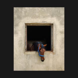 Horse in a Stable T-Shirt