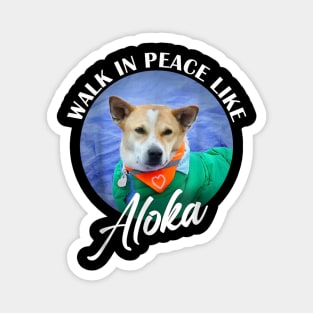 Walk for Peace Monks with Aloka Magnet