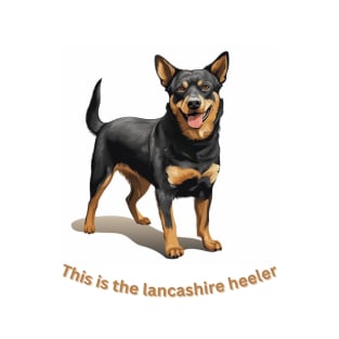 Lancashire heeler T-Shirt