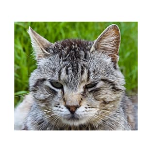 Close-up of a cat's muzzle T-Shirt