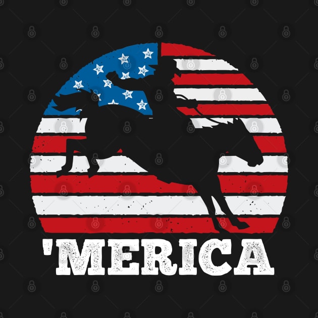 Merica Rodeo USA Vintage Sunset 4th of July America by DetourShirts