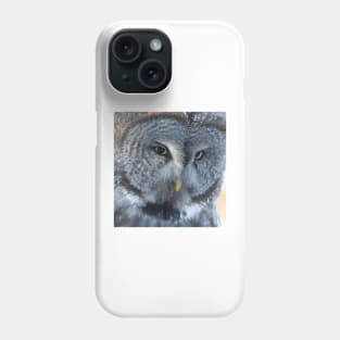 Great Gray Owl Phone Case