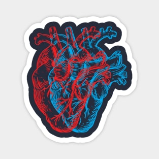 3D Human Heart Magnet