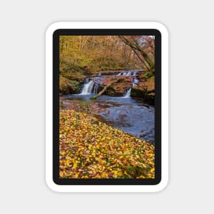 Afon Nedd Fechan, Brecon Beacons Magnet