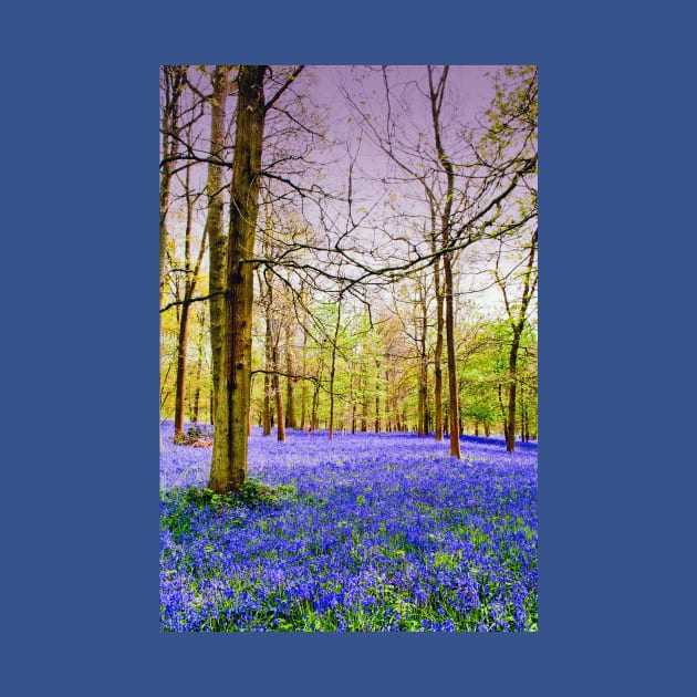 Bluebell Woods Greys Court England UK by AndyEvansPhotos