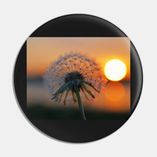 Dandelion Sunset Collins Cove Pin