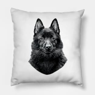 Schipperke Cute Black Dog Pillow