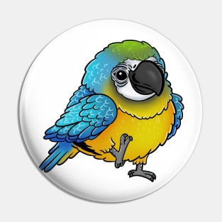 Cute Walking Blue and Yellow Macaw - Parrot Bird Birb - Chibi Kawaii Anime Pin