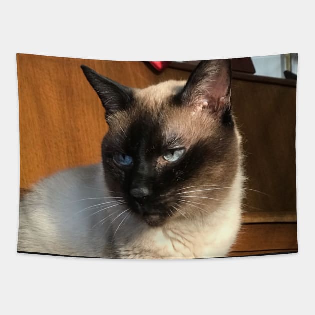 Sentimental Siamese Tapestry by Khala