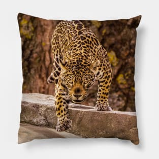 Jaguar Pillow