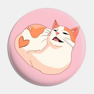 Cat Pin