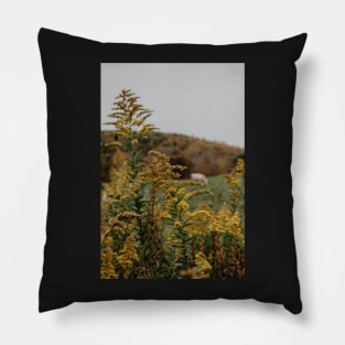 North Carolina mountains in the fall Pillow