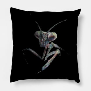 Praying Mantis: The Silent Hunter Pillow