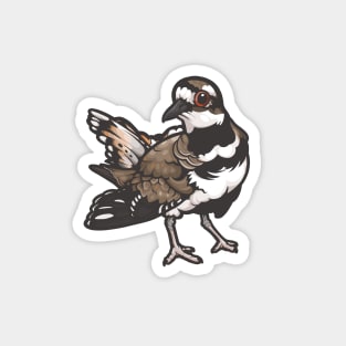 Killdeer Magnet