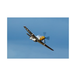 P-51D Mustang Evening Flyby T-Shirt